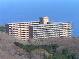 8e83868c.jpg