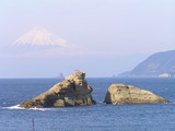 9558151f.jpg