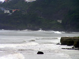 97ee788d.jpg