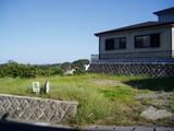 9808b669.jpg