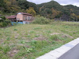 983f2d3a.jpg