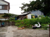 98e64044.jpg