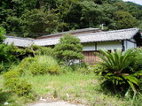992e6418.jpg