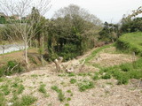 9c3a6343.jpg