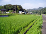 9d33e683.jpg