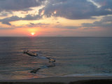 9f5cd1a5.jpg