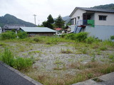 a06fddd6.jpg