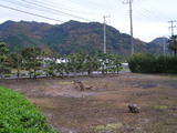 a389d982.jpg