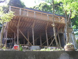 a5587d49.jpg