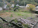 ad454479.jpg