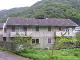 b1cbc38e.jpg