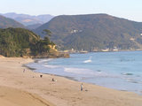 b8e44d83.jpg