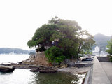 c5f844e2.jpg