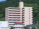 d3161aa5.jpg