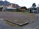 d31d1b04.jpg