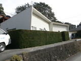 dacd061b.jpg