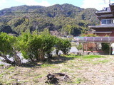 e2ade090.jpg