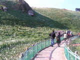 e5782e1b.jpg