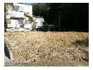 thumbnail1