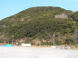 fc462692.jpg