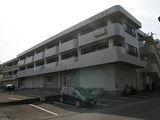 fd72d4d9.jpg