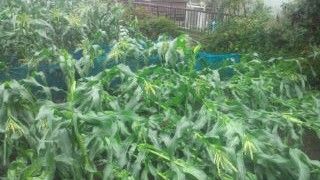 20160625123317