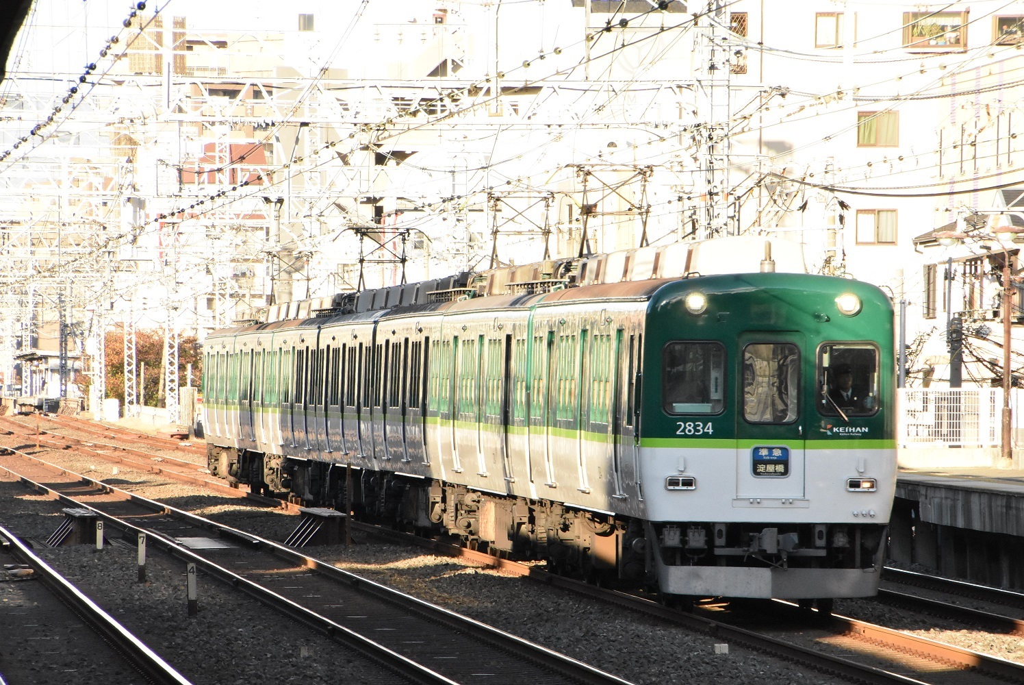 1f6d13ed.jpg