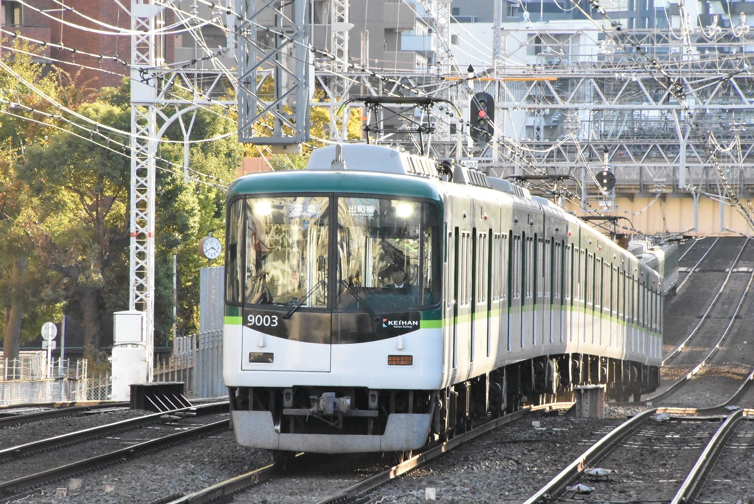 43ab8270.jpg