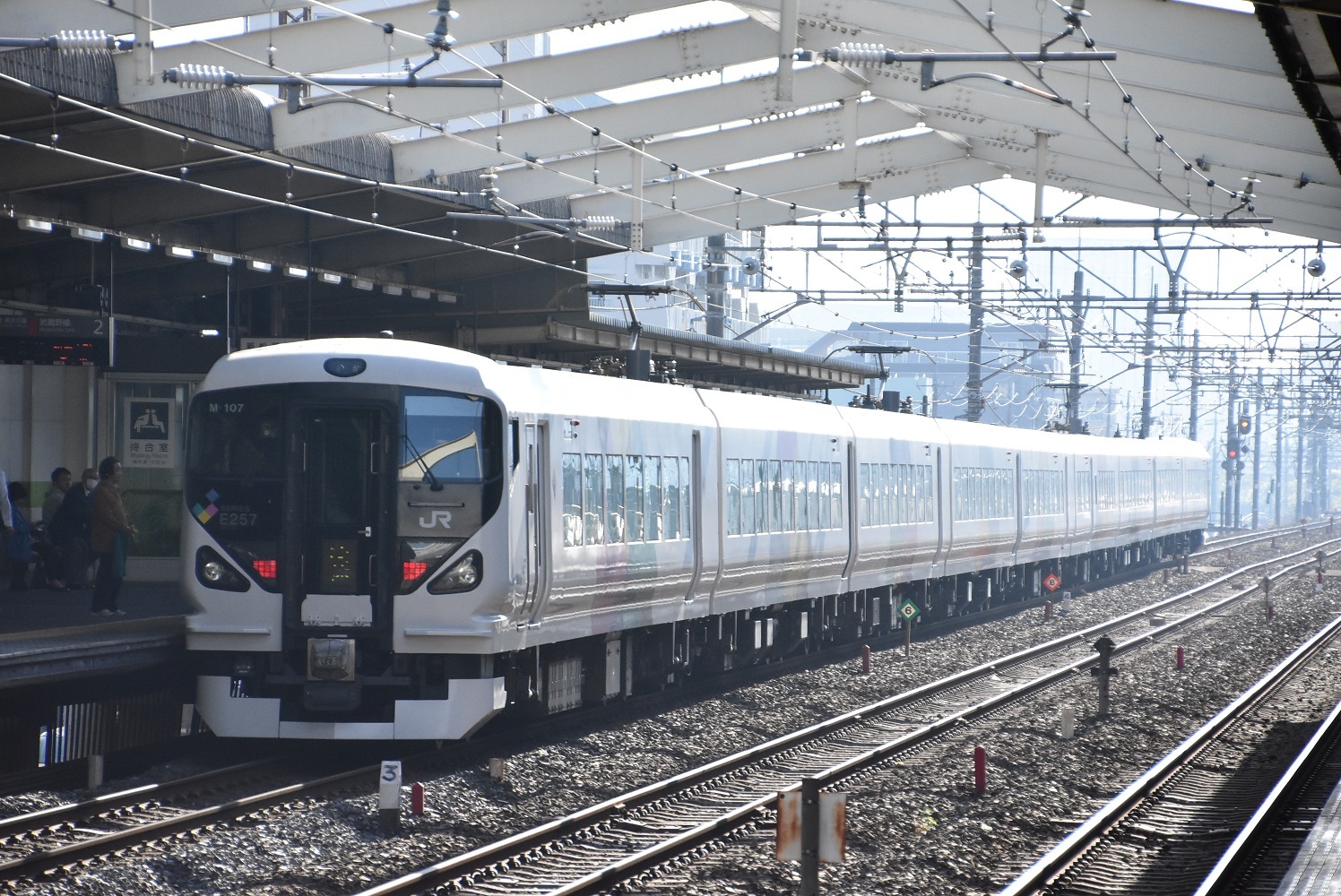 512e7be6.jpg