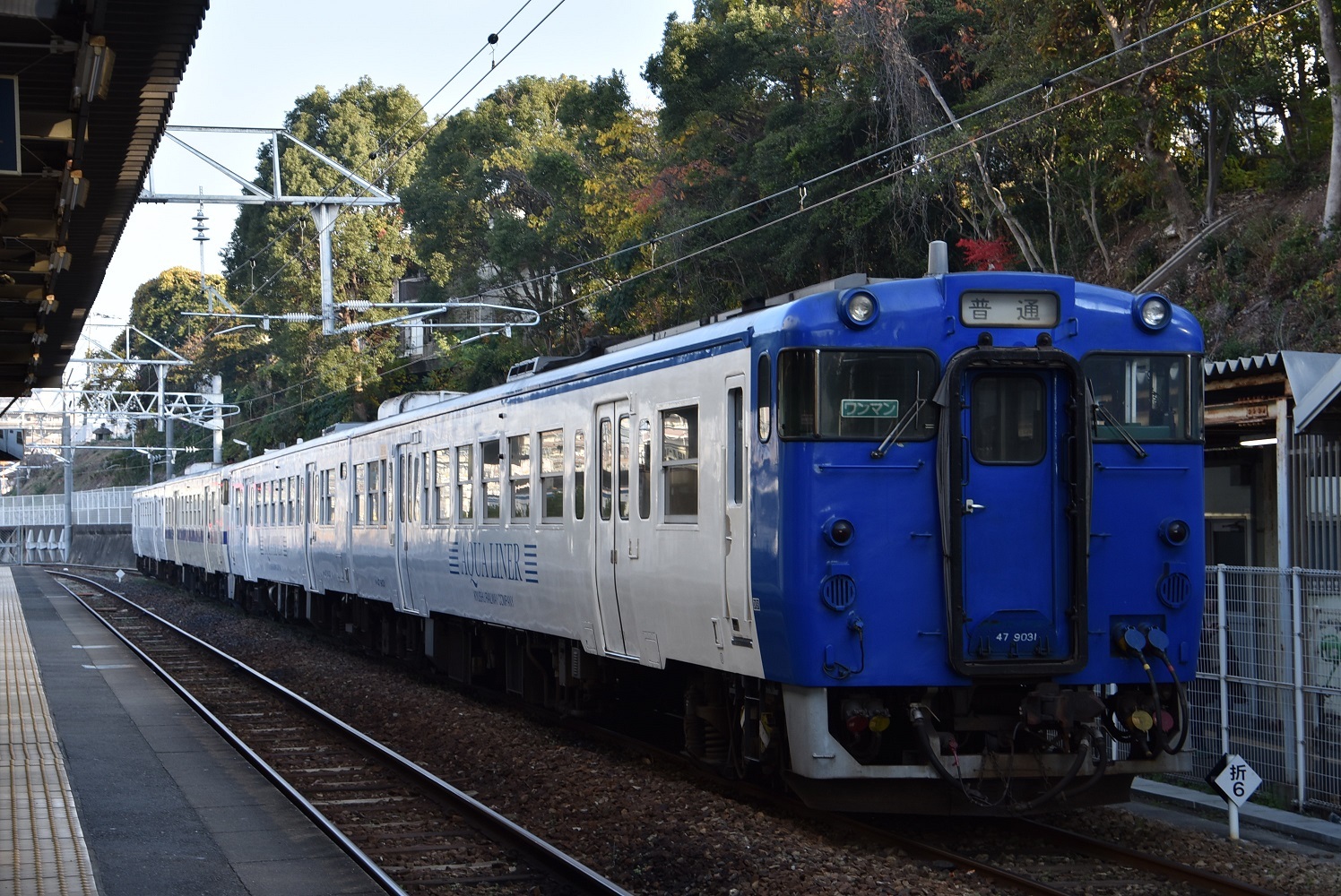 51da815a.jpg