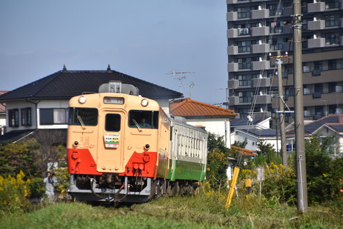 DSC_0470