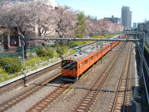 09年4月3日H4東中野の桜と・・