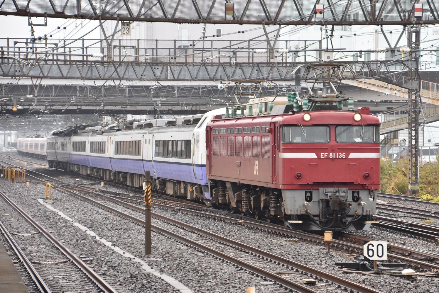 7630c9b7.jpg