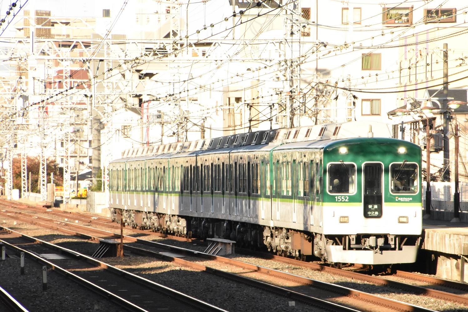 79da2f6e.jpg
