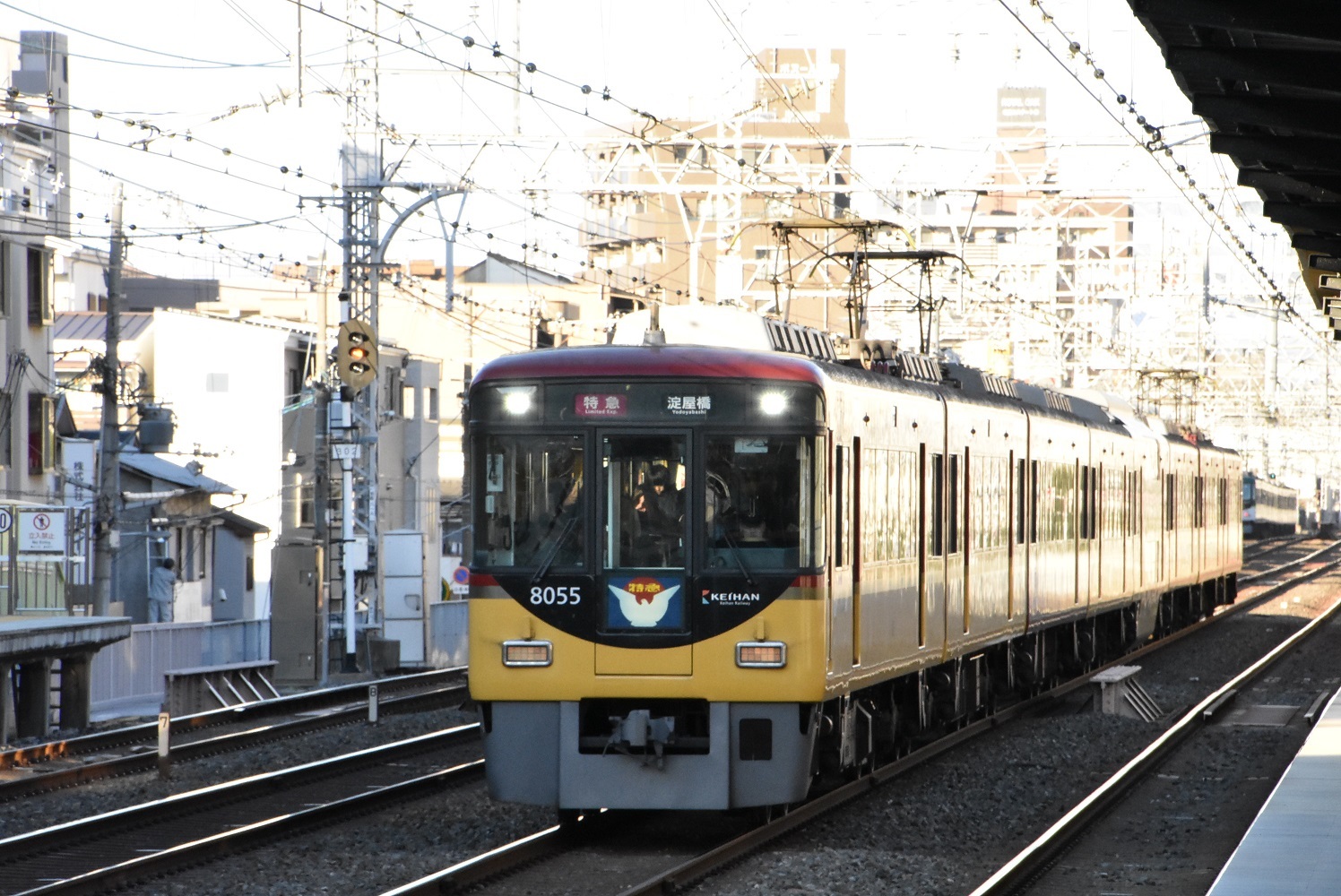 8897fa5d.jpg