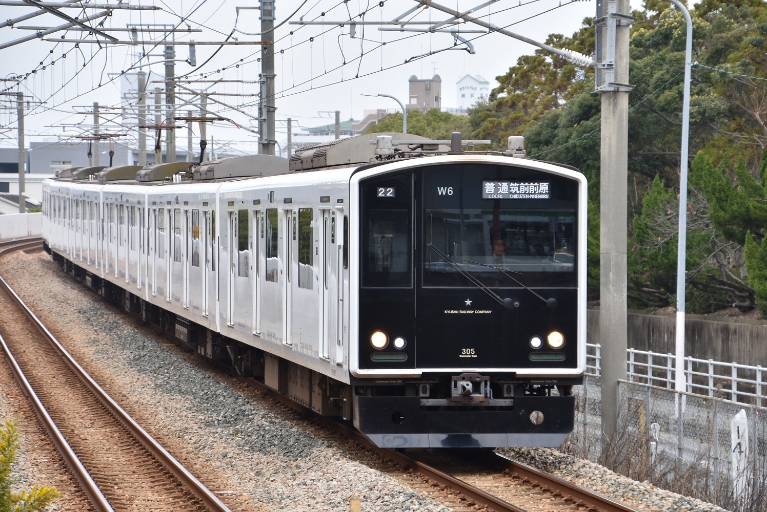 c3942475.jpg