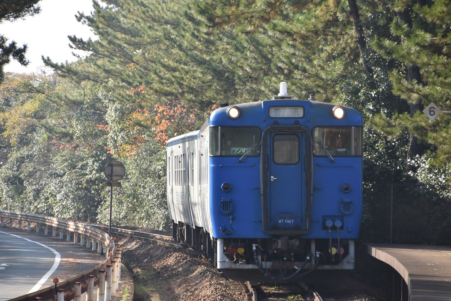 edb80511.jpg
