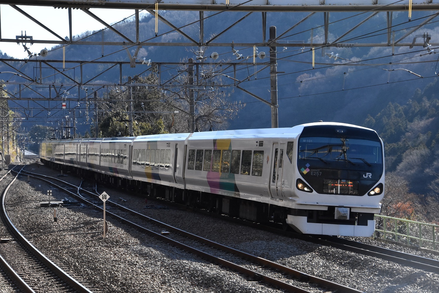 f6b91556.jpg