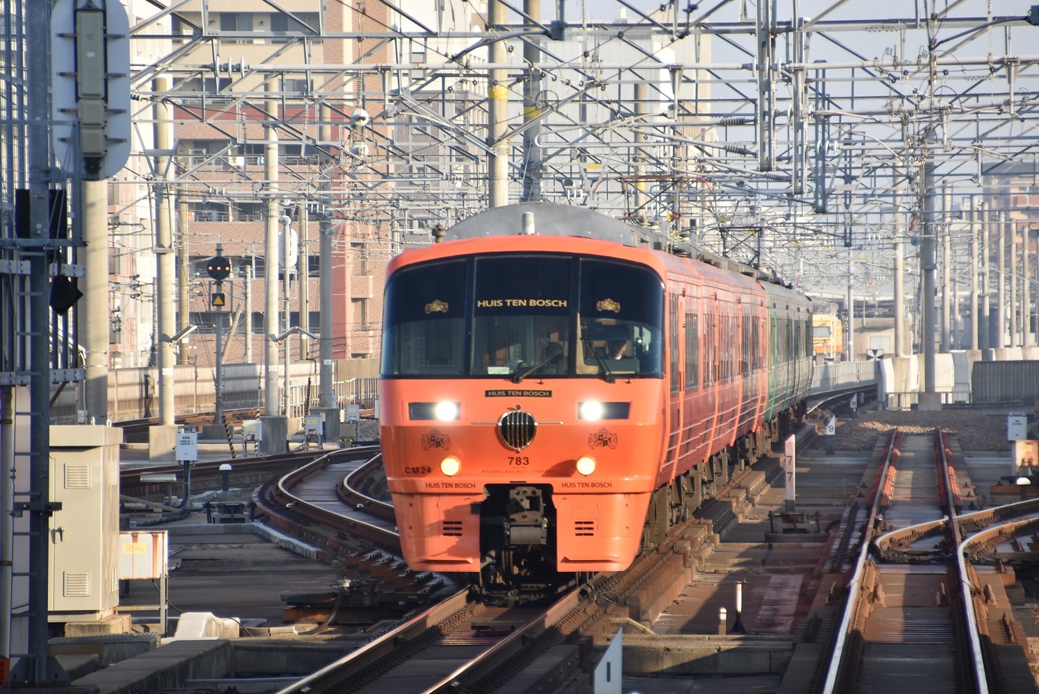 f876bd68.jpg