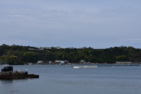 DSC_0663