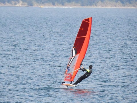 FB_IMG_1614433573704