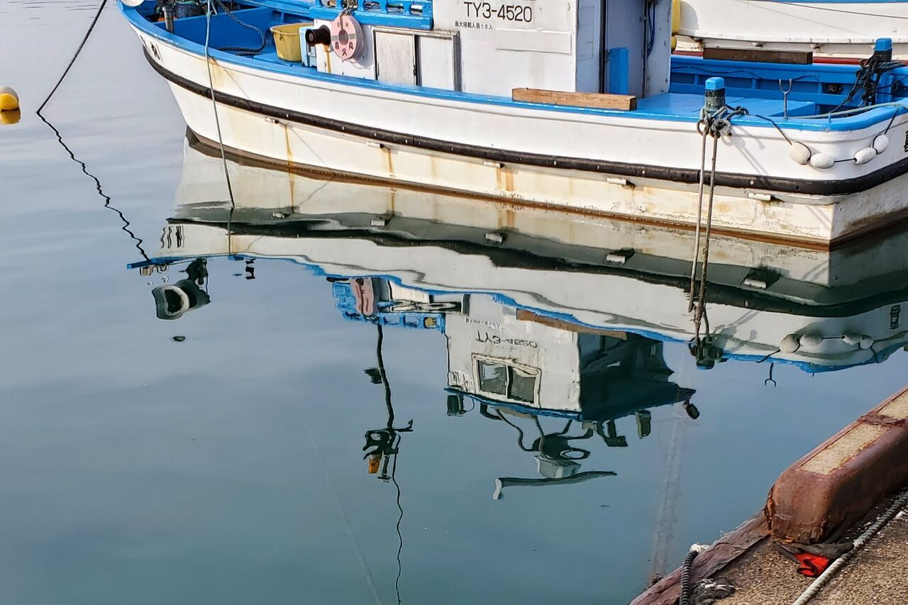 青魚釣り 自分なりに釣ってみる