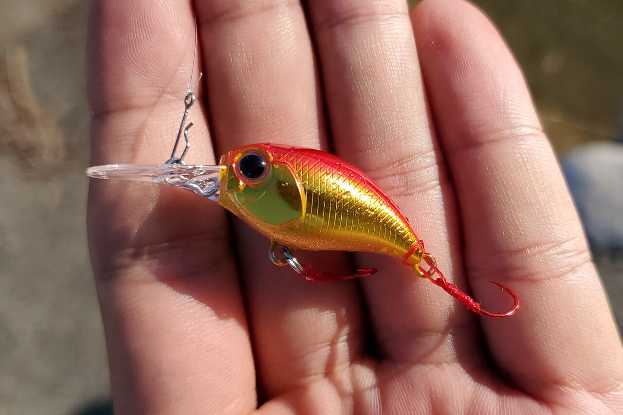 ハゼクラに初挑戦 そして 自分なりに釣ってみる