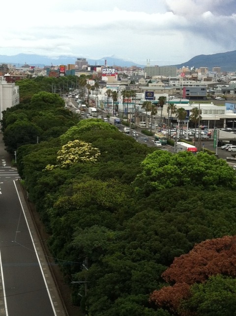 2012-08-21 09:36:43 写真1