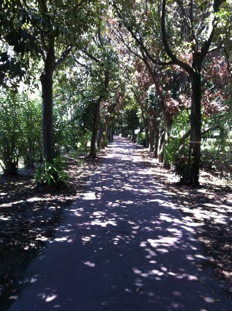 2012-08-21 11:41:34 写真1
