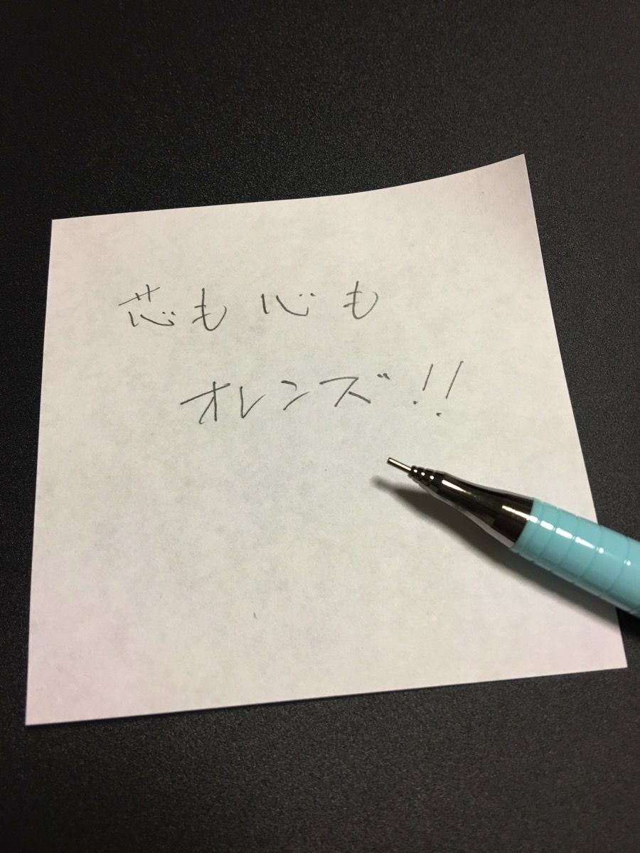 IMG_9323.JPG IMG 9323
