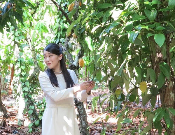 c2abac38af37d4d0061db1d62ca4f16a-1024x787