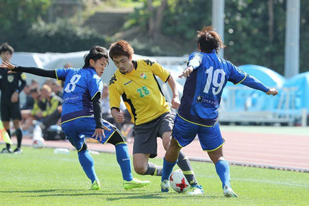 tiba2017212