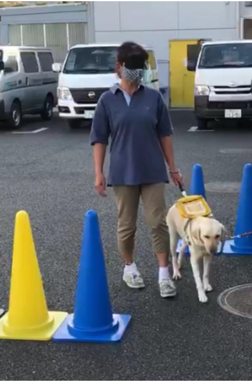 盲導犬訓練センター J 71 Yokoの風まかせ日記