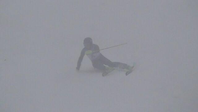 Screenshot_20260411_145355_Gallery